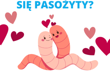 cykl życia pasożytów lamblia i glista ludzka