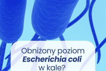 Mikroskopowe zdjęcie bakterii Escherichia coli